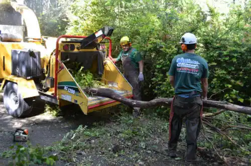 tree services Pembroke Park